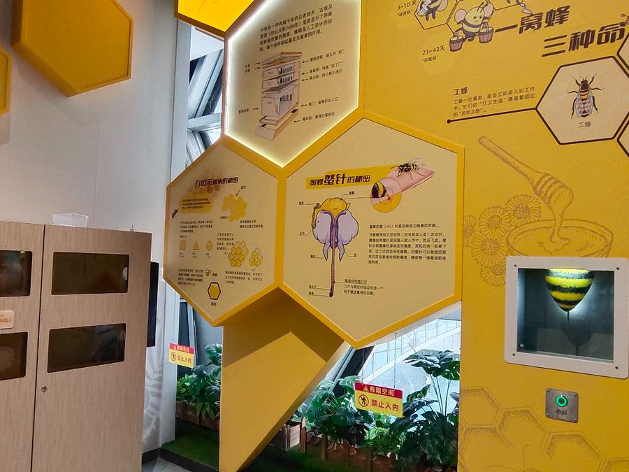 Earth Science exhibit installation