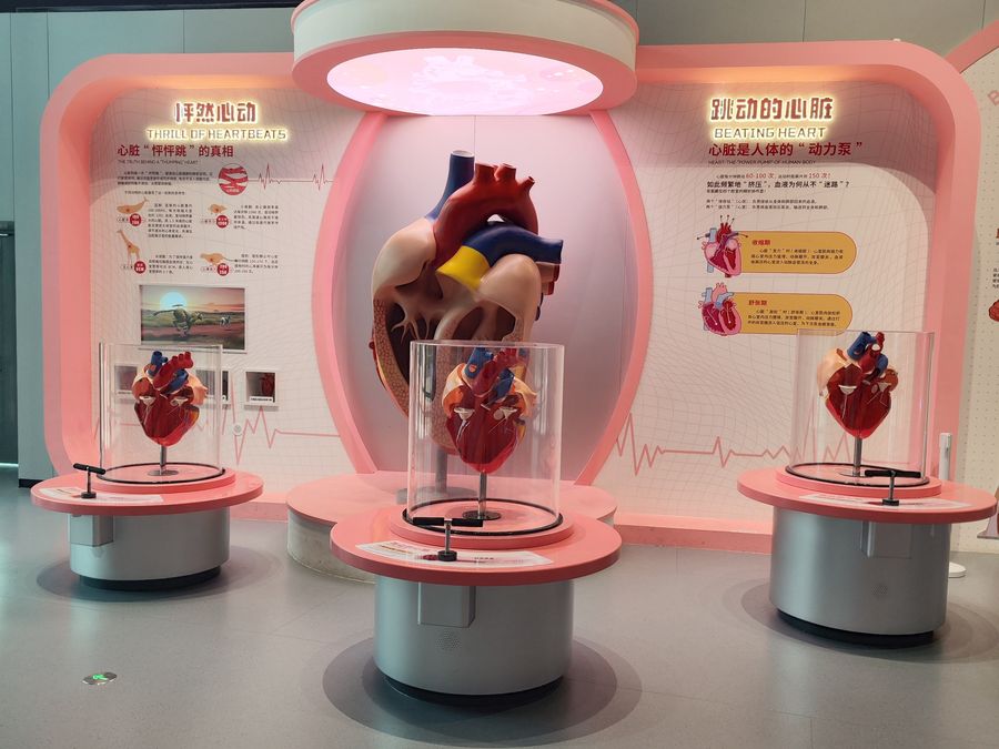 Life Science & Health exhibit installation