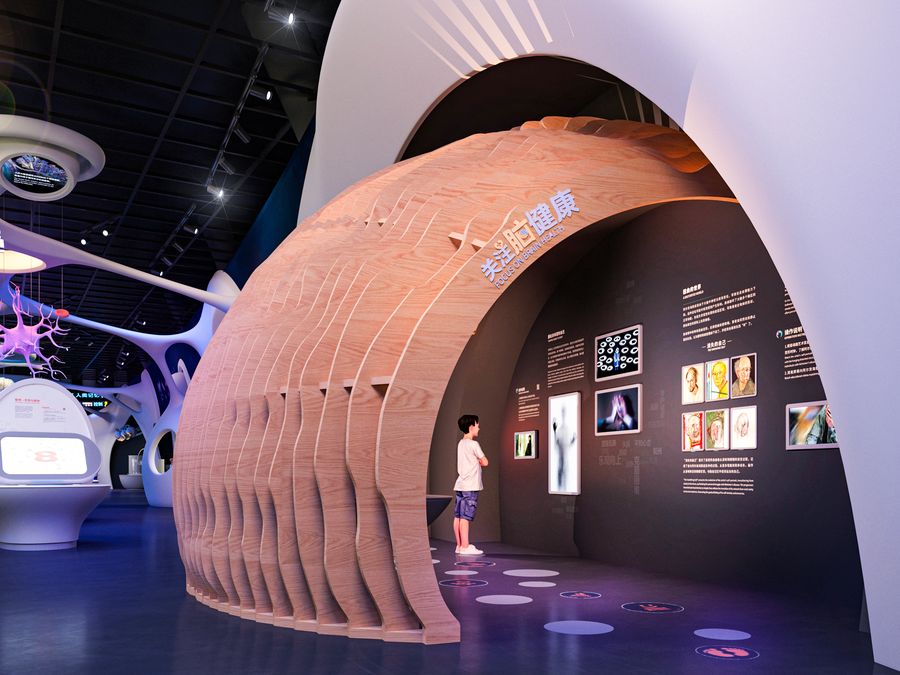 Body, Brain & AI exhibit installation
