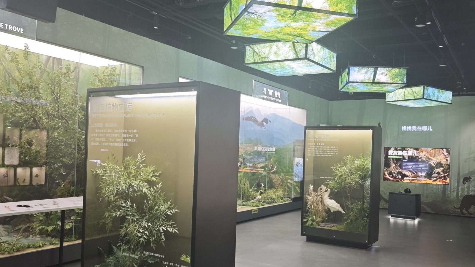 Ecology & Nature hall
