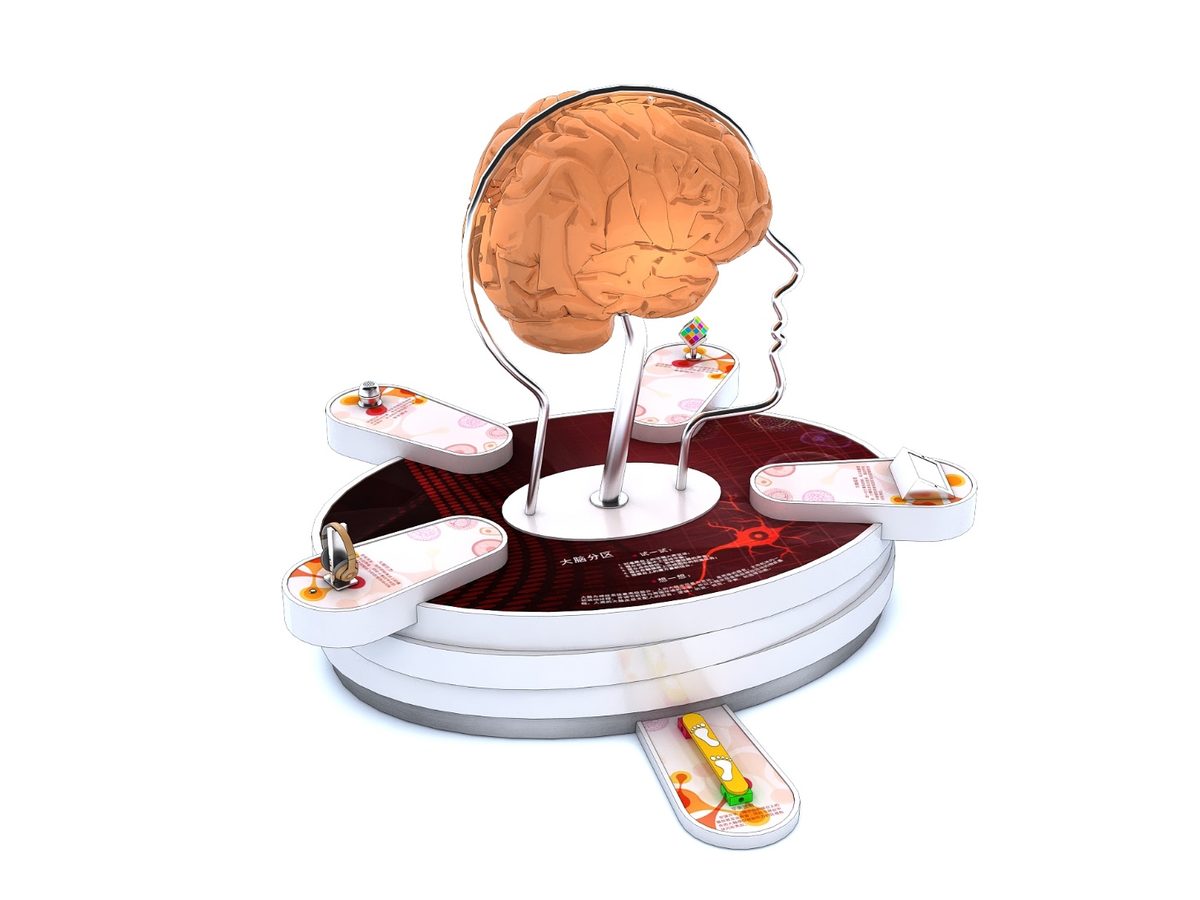 Brain Map