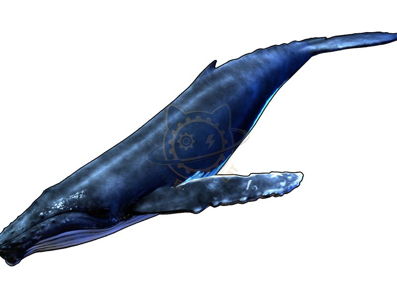 A gentle island in the deep sea
