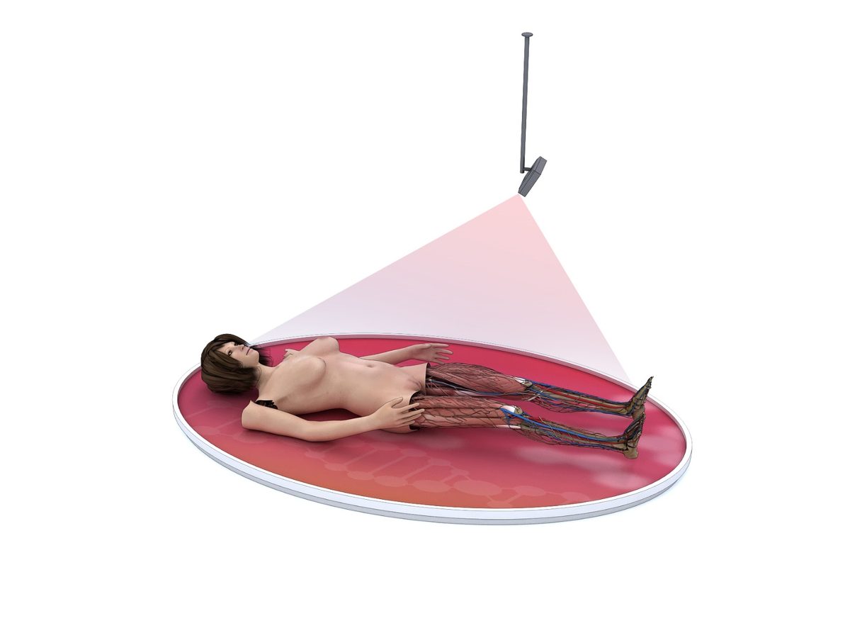 Human Body Theatre
